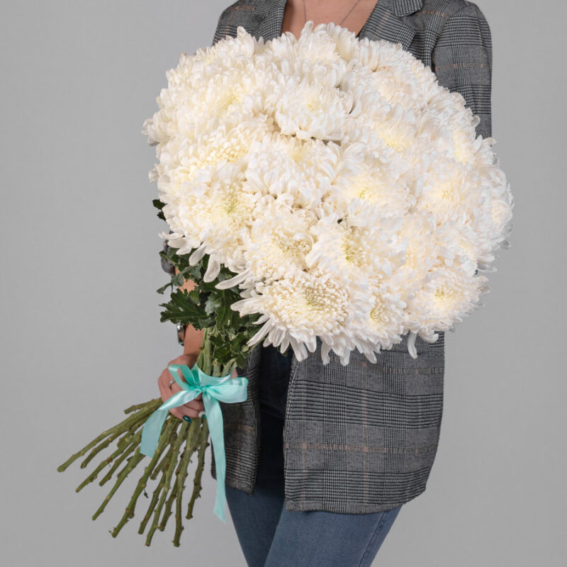 Белые Хризантемы Бигуди